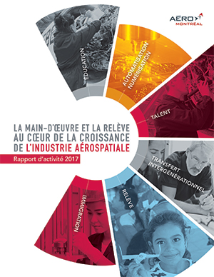 Rapport d'activité 2017 (fr)