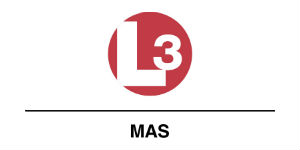 L3 MAS